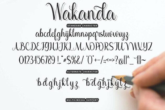 Wakanda Poster 6