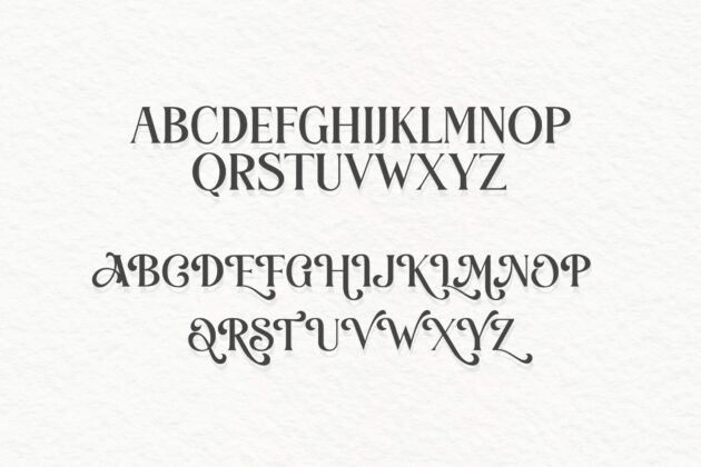 Warm Gatherings (Swash Font, Wedding Font, Logo Font) Poster 3
