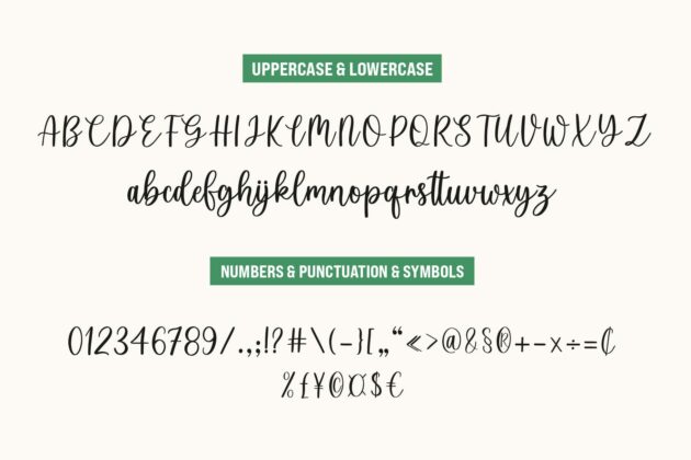 Welcome Holiday - Script Font Duo Poster 3