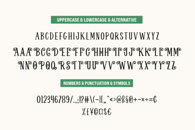 Welcome Holiday - Script Font Duo Poster 9