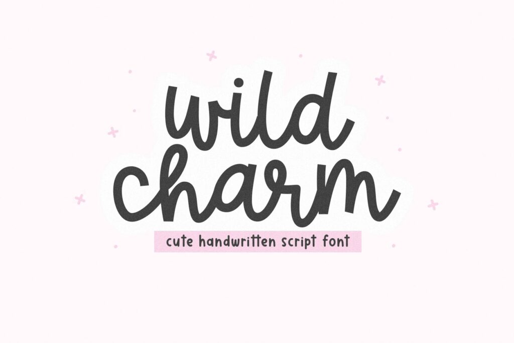 Wild Charm - Cute Script Font Poster 2