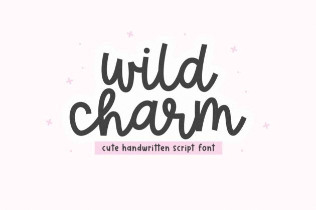 Wild Charm - Cute Script Font Poster 2