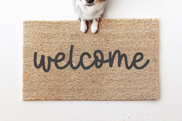 Wild Charm - Cute Script Font Poster 7