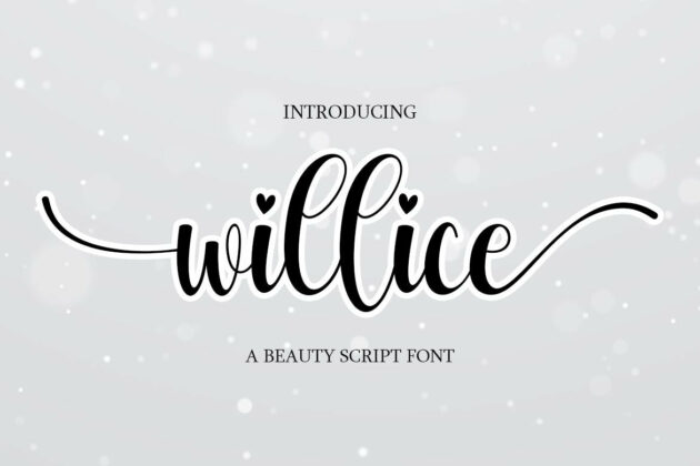 Willice Poster 3