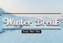 Winter Break Poster 1