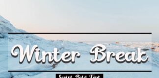 Winter Break Poster 1