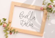 Wonderline Modern Monoline Script Font Poster 1