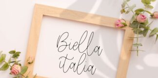 Wonderline Modern Monoline Script Font Poster 1
