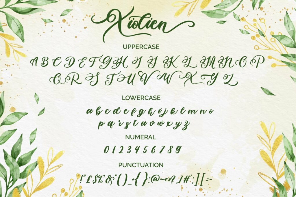 Xiolien Poster 1