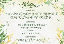 Xiolien Poster 1