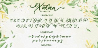 Xiolien Poster 1