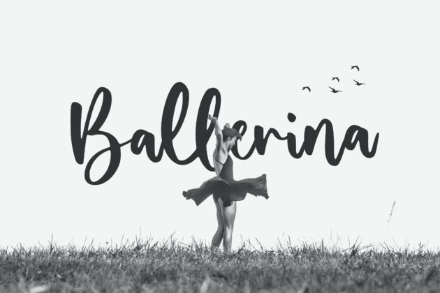 Yourladies Modern Handwritten Font Poster 1