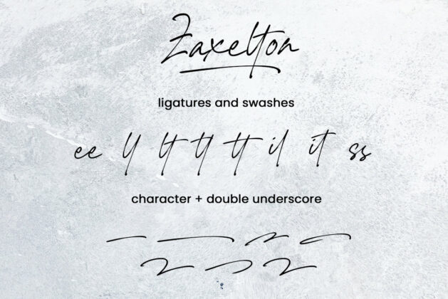 Zaxelton Poster 6